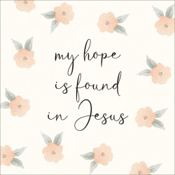 Magnet - my hope is found in Jesus